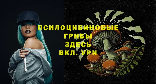 синтетический гашиш Ладушкин