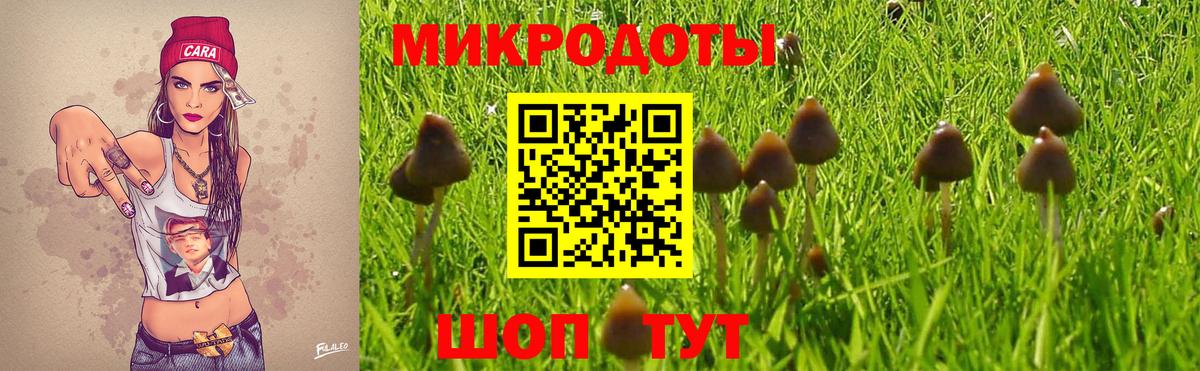 Галлюциногенные грибы GOLDEN TEACHER Лосино-Петровский