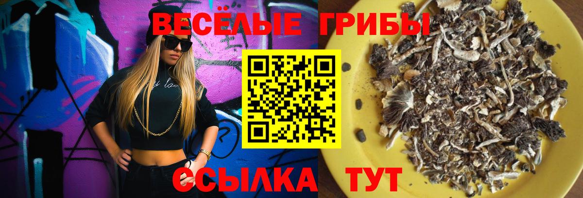 Псилоцибиновые грибы GOLDEN TEACHER  Вход с VPN  Лосино-Петровский 